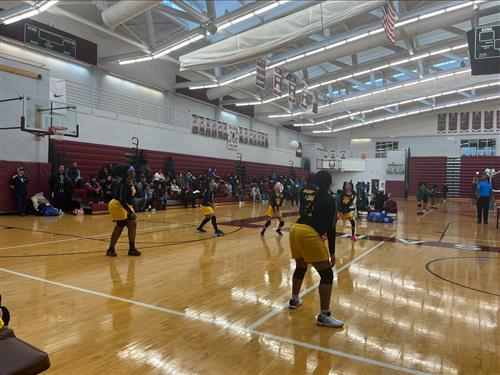 Girls playing volleyball 